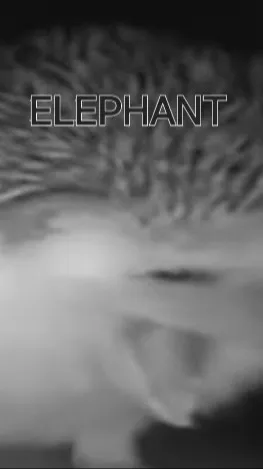 ai character: MHA s8  background