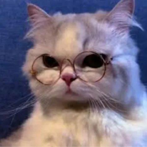 creator q miras chismoso?🤨's avatar