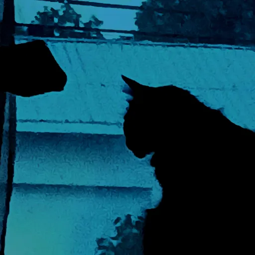 talkie's author avatar