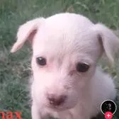 creator Ｂａｕｔｉ🧸's avatar