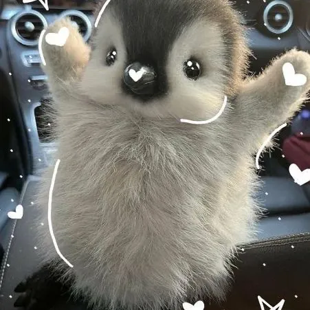 talkie's author avatar