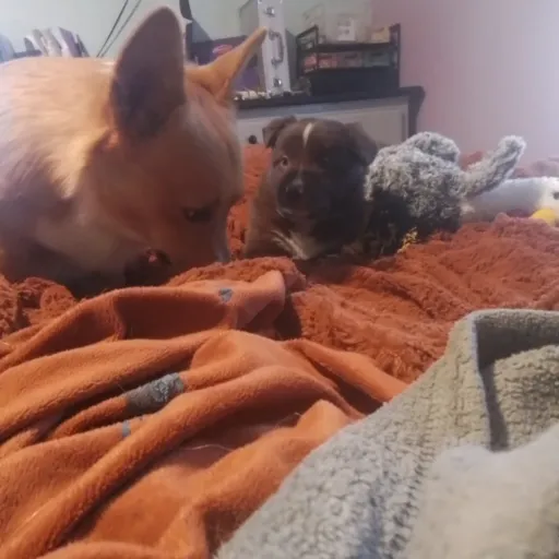 creator i_love_milo's avatar