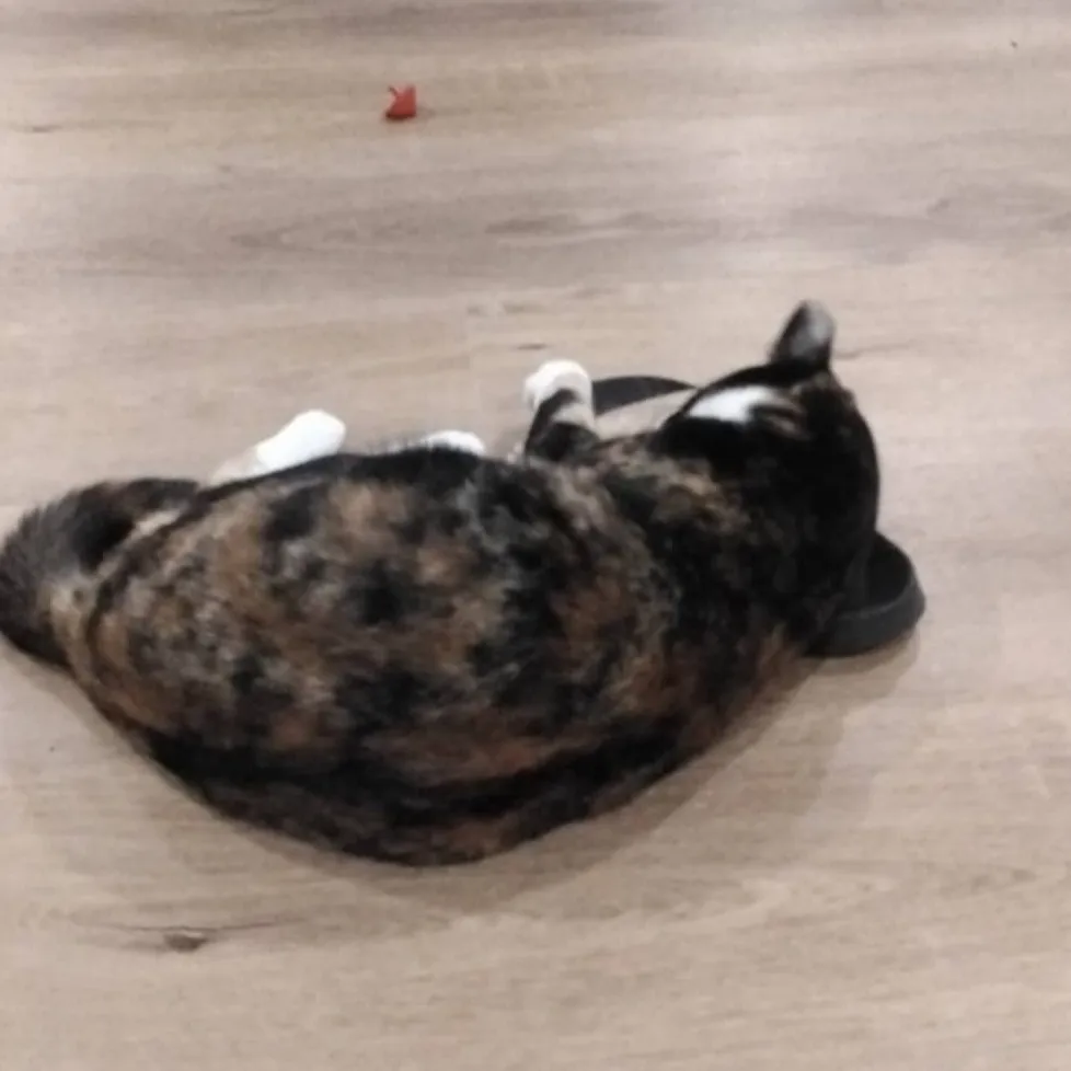 chat with ai character: Youtube con :>