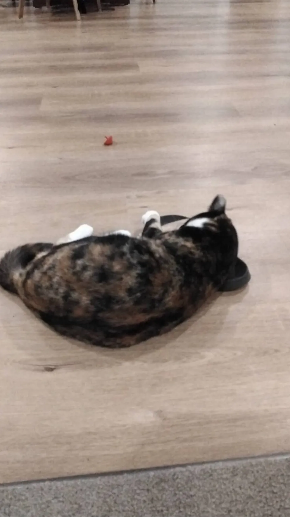 ai character: Youtube con :> background