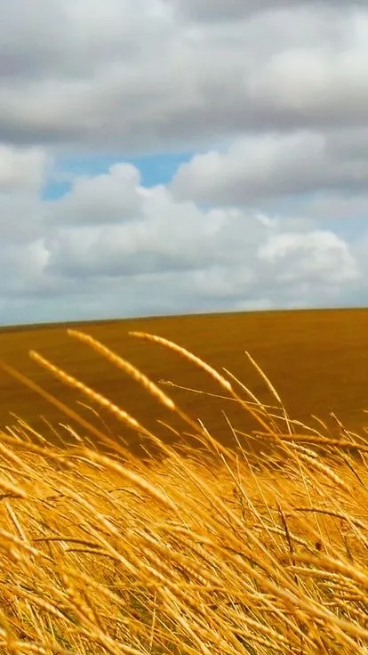 ai character: Empty. background