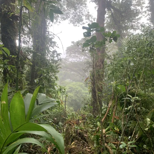 creator XathrosG's avatar