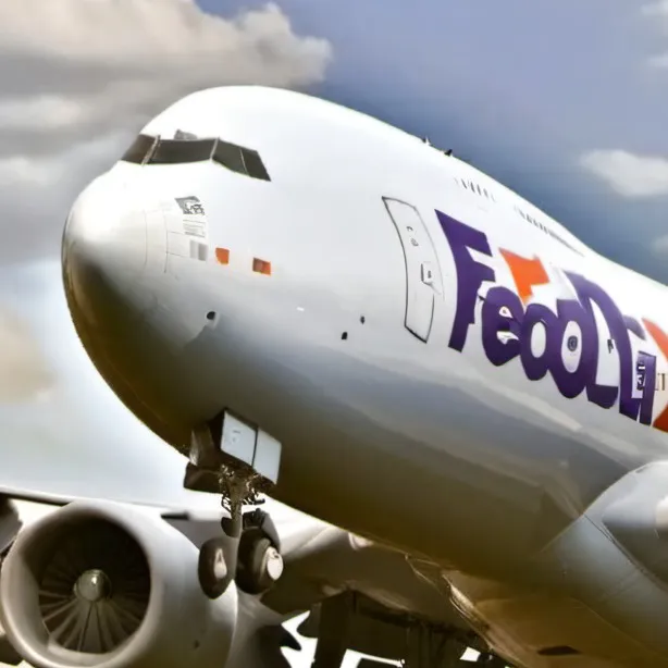 chat with ai character: FedEX 80