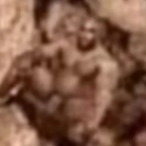 creator Talkior-gJtEyC5f's avatar