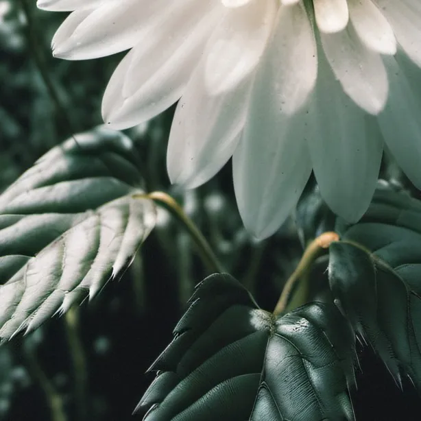 chat with ai character: Dev10&3piupia!SHIP