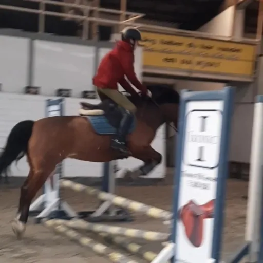 creator Ángel blade's avatar