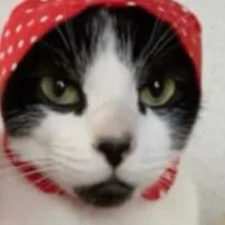 creator M1ch3alaftonswife's avatar