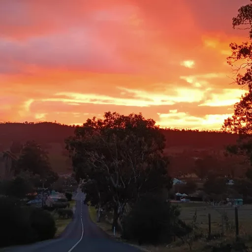 creator Gracietheslay's avatar