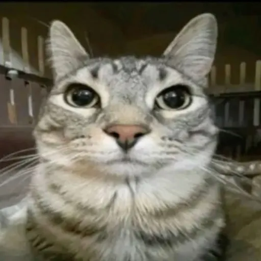 creator daniggest_carever's avatar