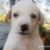 creator Talkior-23rmFbL8's avatar