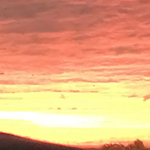 creator Quinnalyn's avatar