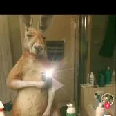 creator Renzo Taritolay's avatar