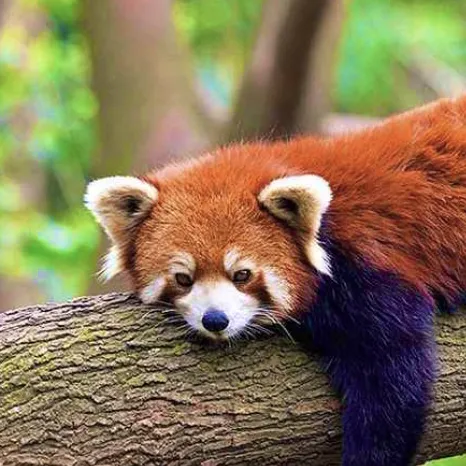 creator MiAa_ihatethissm's avatar