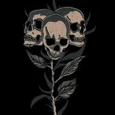 creator amirahlovesmonkeys's avatar