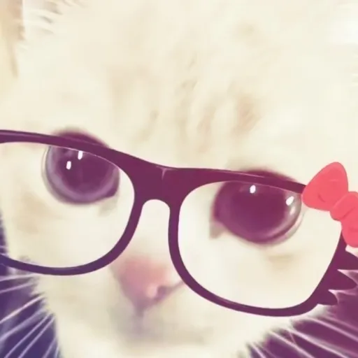 creator ♡!Coco!♡'s avatar