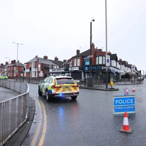 creator SaffyreSkye's avatar