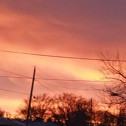 creator Lydia1212675's avatar