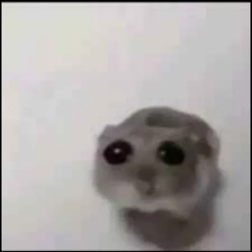 creator Goofy weird guy's avatar