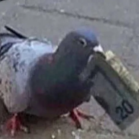 creator DaSillyNooby's avatar