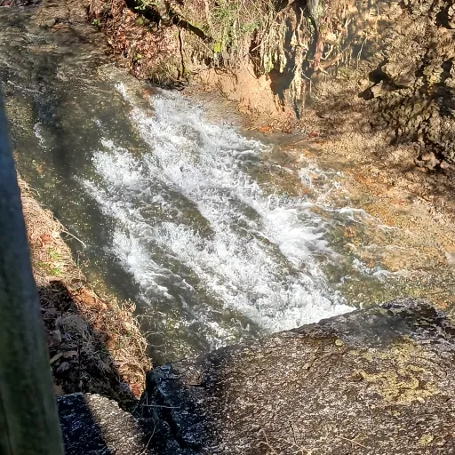 creator SnowHare#'s avatar