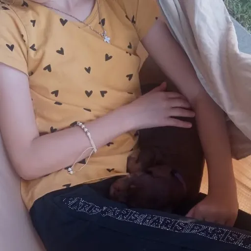 creator Stella_Slovakia's avatar