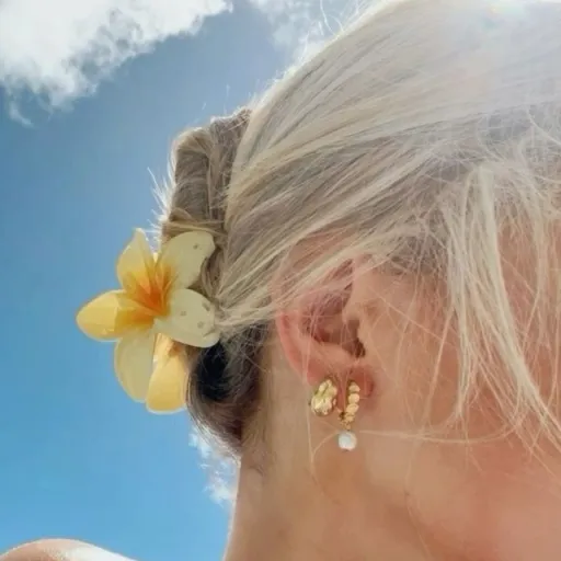 creator ⛵~ᴄʟᴀʀᴀ~🥥's avatar