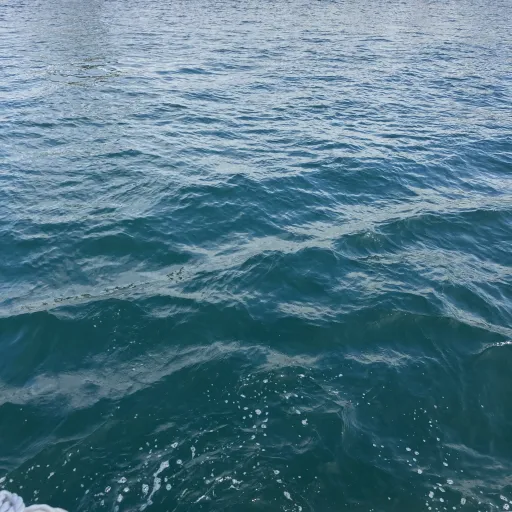 creator Lola a netball sta's avatar