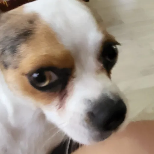 creator D3M05x666's avatar