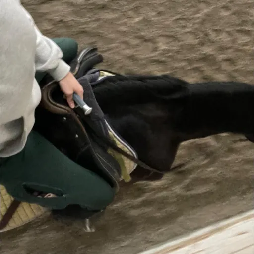 creator ZoeandStormie🎄's avatar