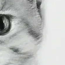 chat with ai character: KILL THE SPRUNKIS!