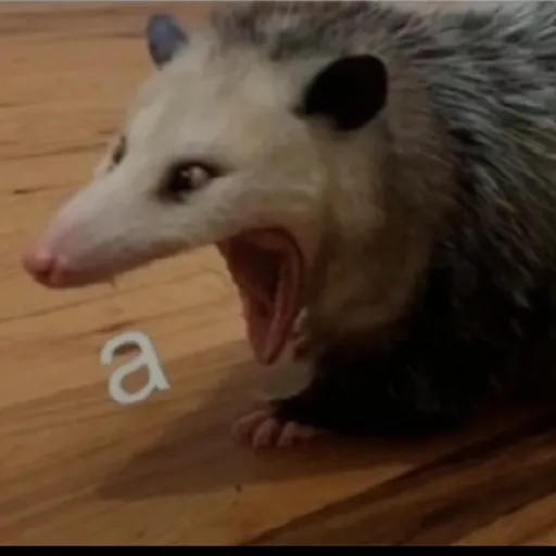 creator Skilariko's avatar