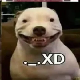 creator un.random🧐's avatar