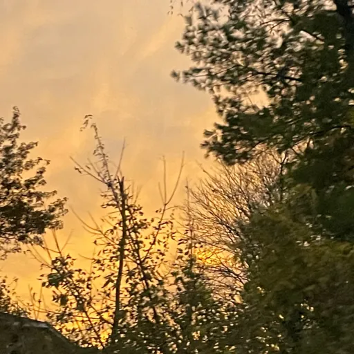 creator 𝕊𝕋★ℝ~𝕊𝕋ℝ𝕌ℂ𝕂's avatar