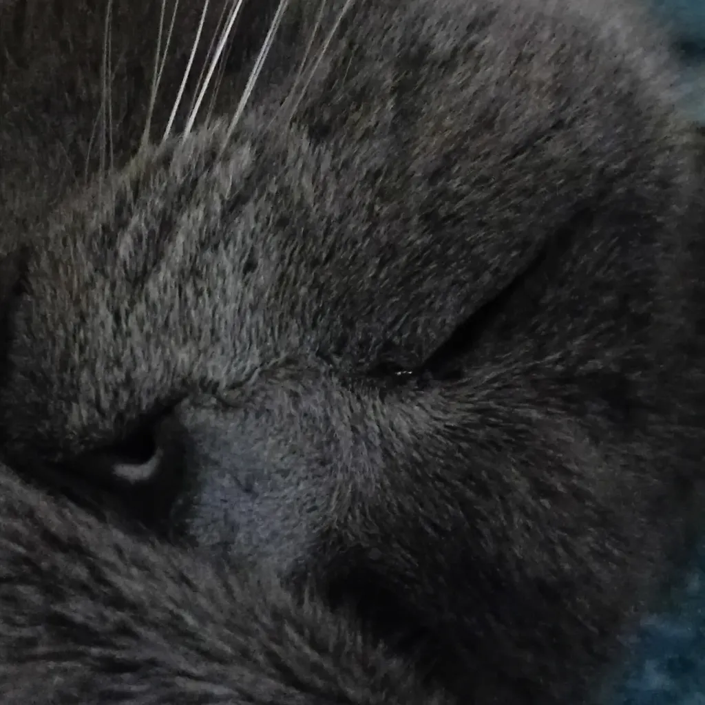 chat with ai character: ⚠ Arlo 🩶