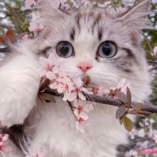 chat with ai character: Falling For Ya 💘