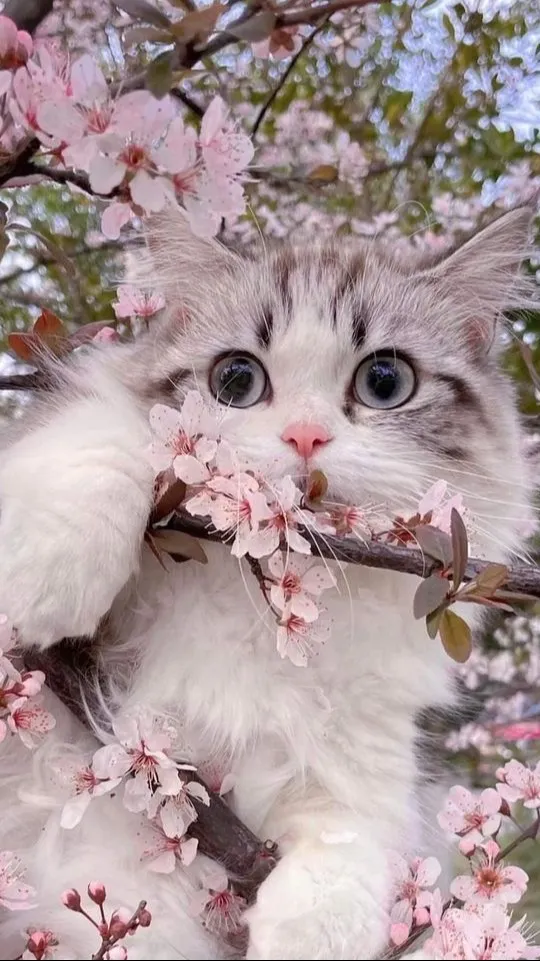 ai character: Falling For Ya 💘 background