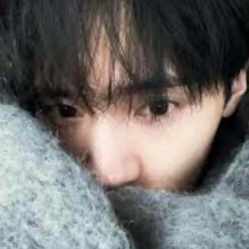 creator zhao yiran's avatar