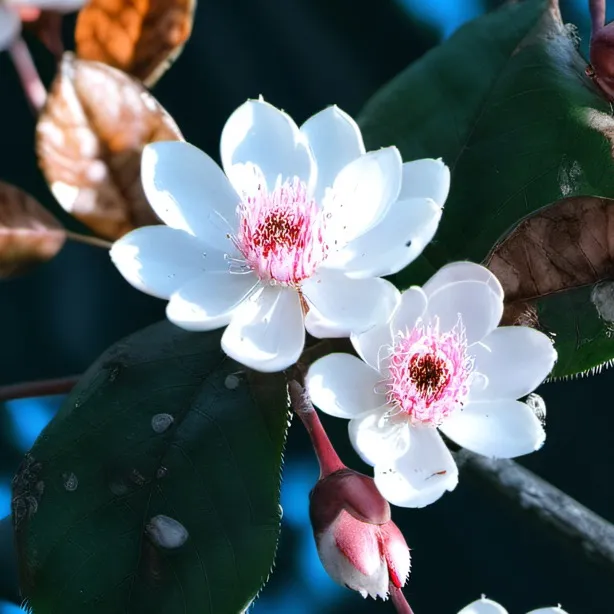 chat with ai character: Ella