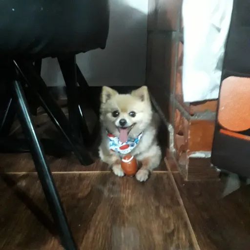 creator ☆💫andrea☆💫's avatar