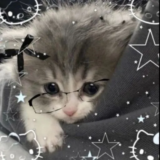 creator ❄ふろすとのゔぁ❄'s avatar