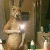 creator TobyAlex. py's avatar