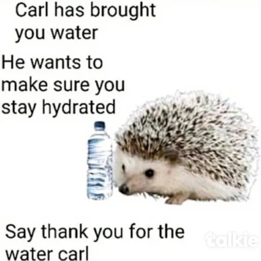creator carl hedgehog's avatar