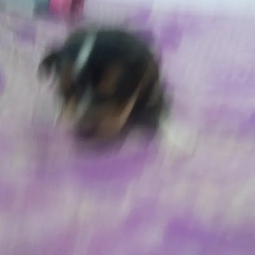 creator hola que tal xd😔🤌~'s avatar