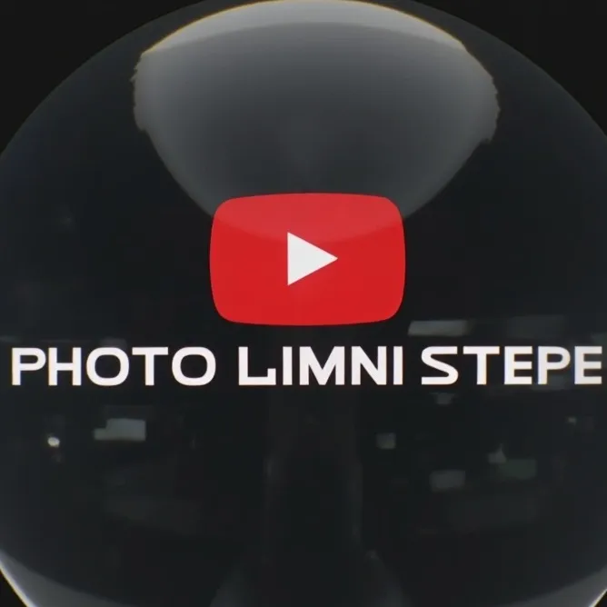 chat with ai character: Goosiest 