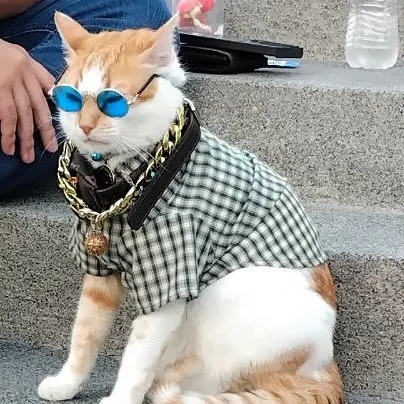 creator yelena 🍷🗿's avatar