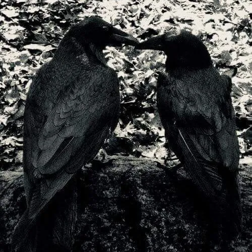 creator Ruptura's avatar